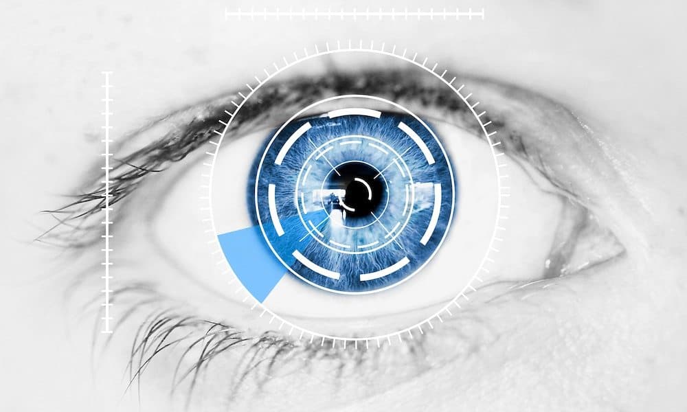 Retina scanning software